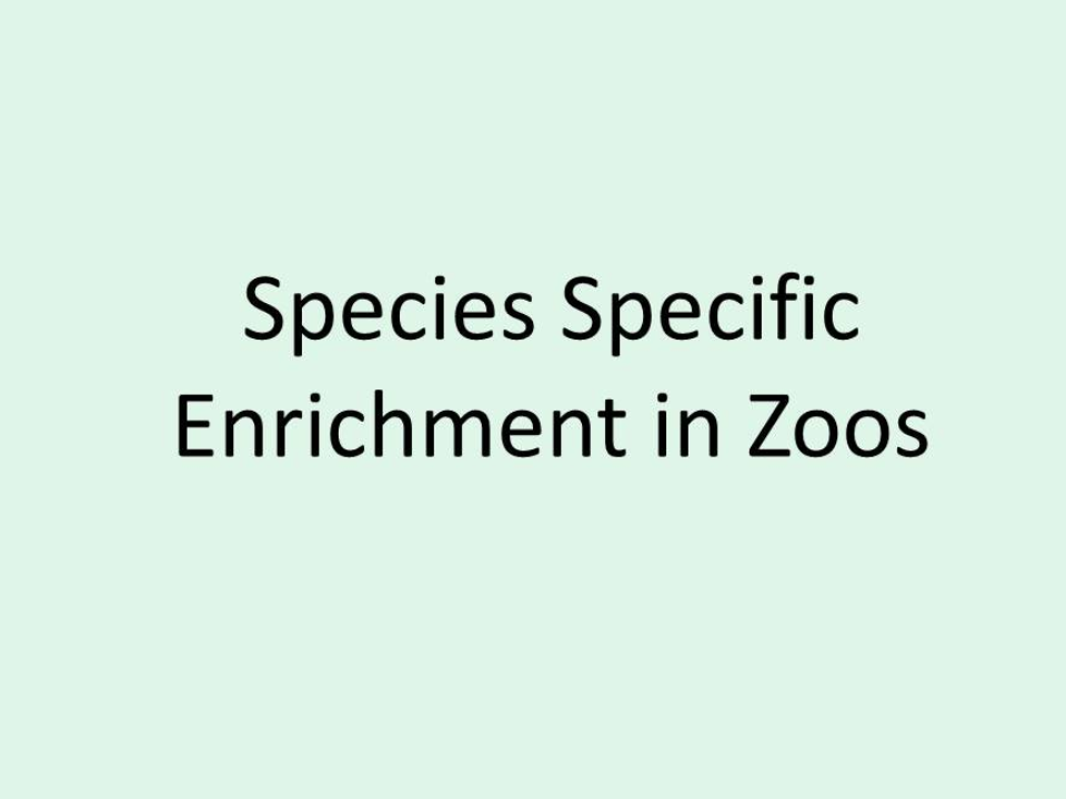 Species Specific Enrichment in Zoos