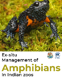 Ex-situ Management of Amphibians in Indian Zoos